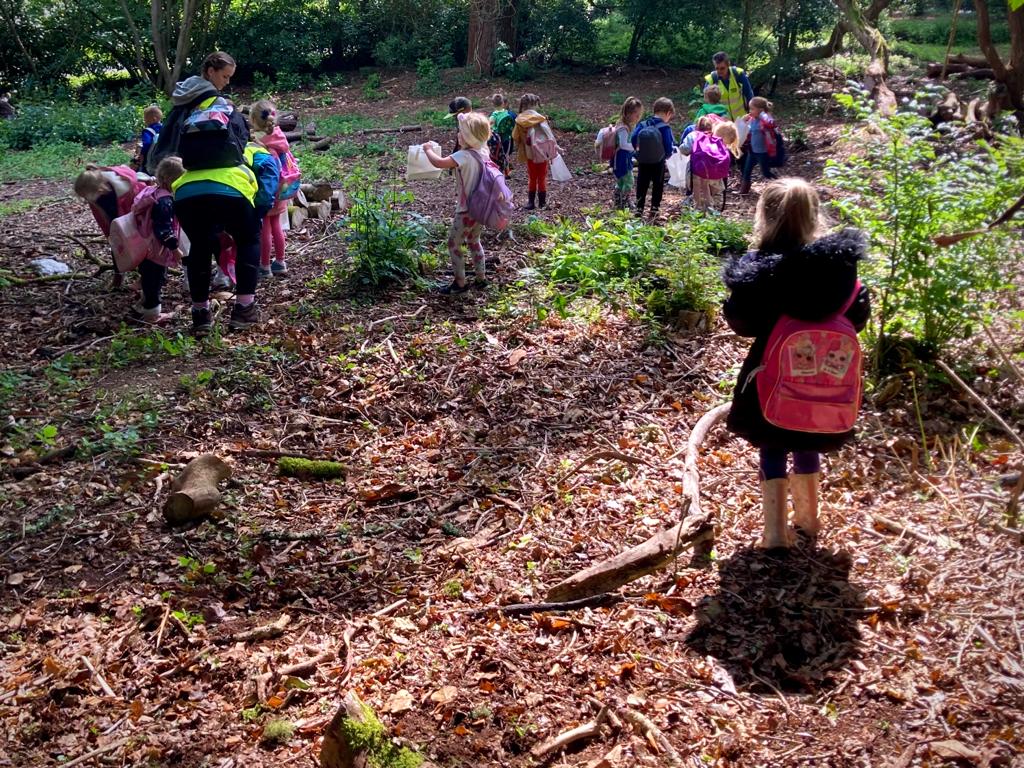 A school group exploring in a woodland clearing.